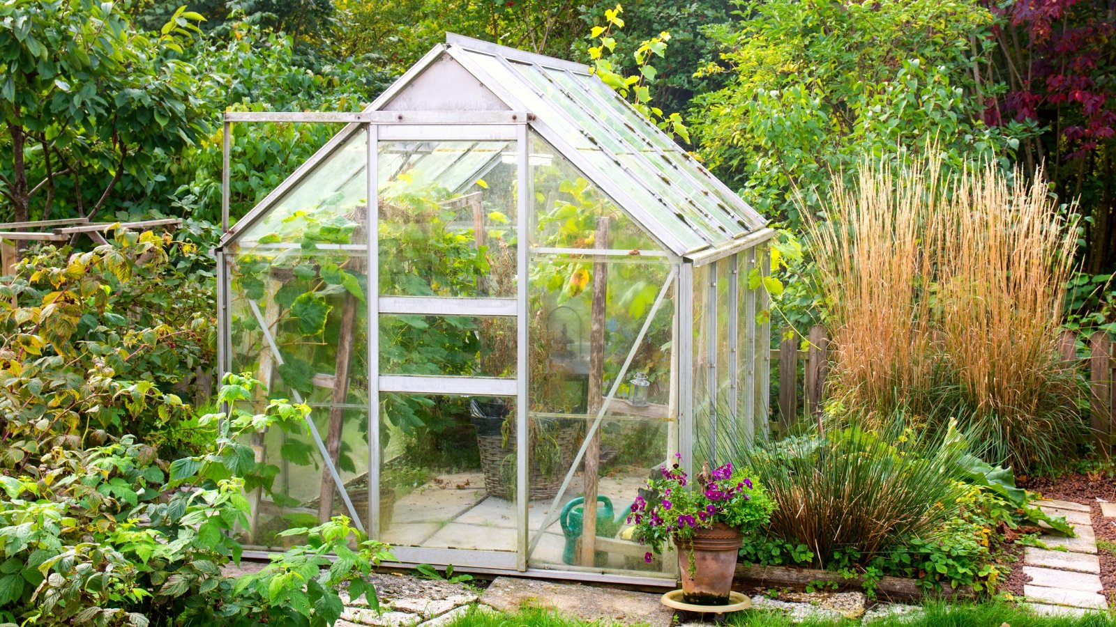 how Vancouver gardeners manage winter pest control in Canada, how to maintain greenhouse conditions in a rainy coastal climate, and how to grow year-round without letting pests take over.