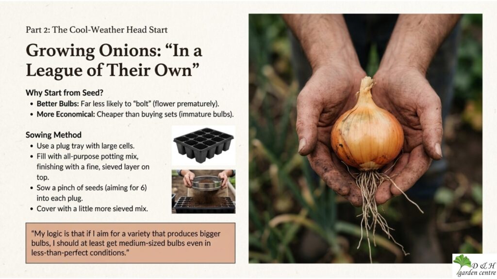 Sow onion seeds into plug trays filled with all-purpose potting mix, topped with a fine, sieved layer. This creates a smooth surface for small seeds.