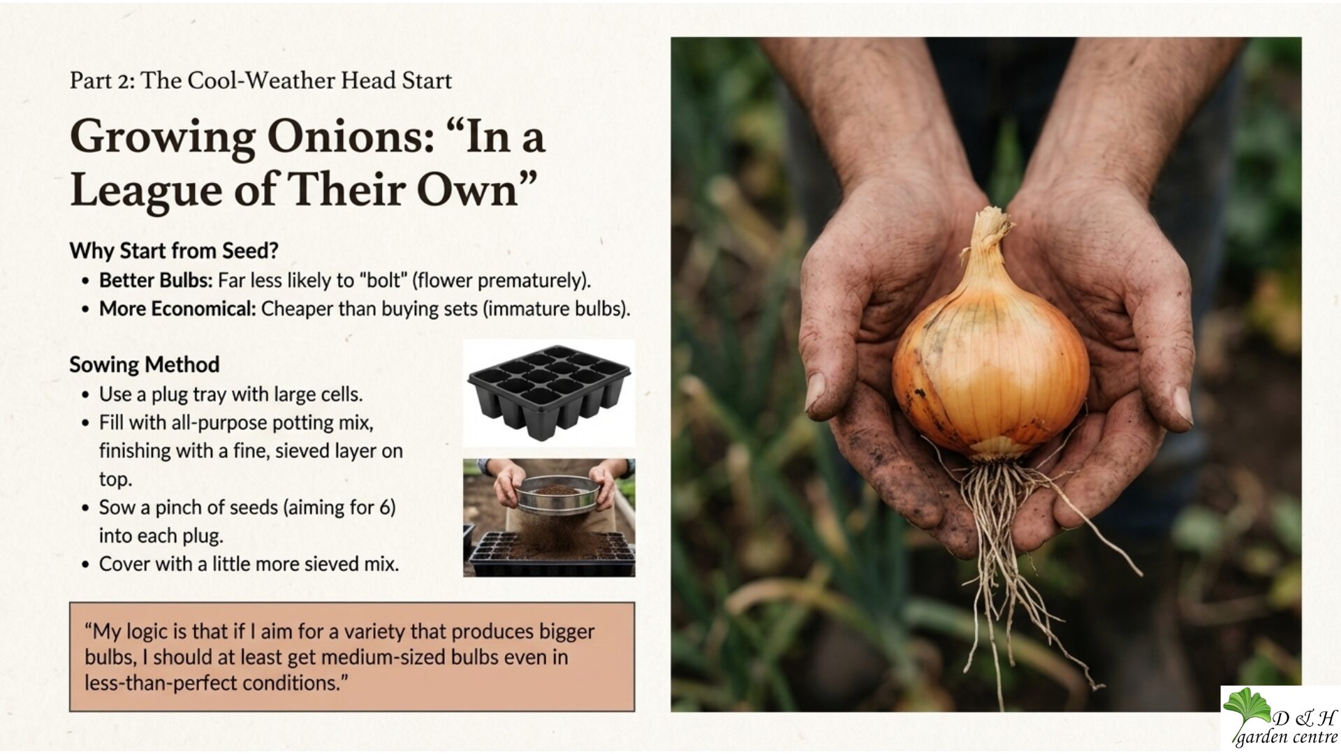 Sow onion seeds into plug trays filled with all-purpose potting mix, topped with a fine, sieved layer. This creates a smooth surface for small seeds.