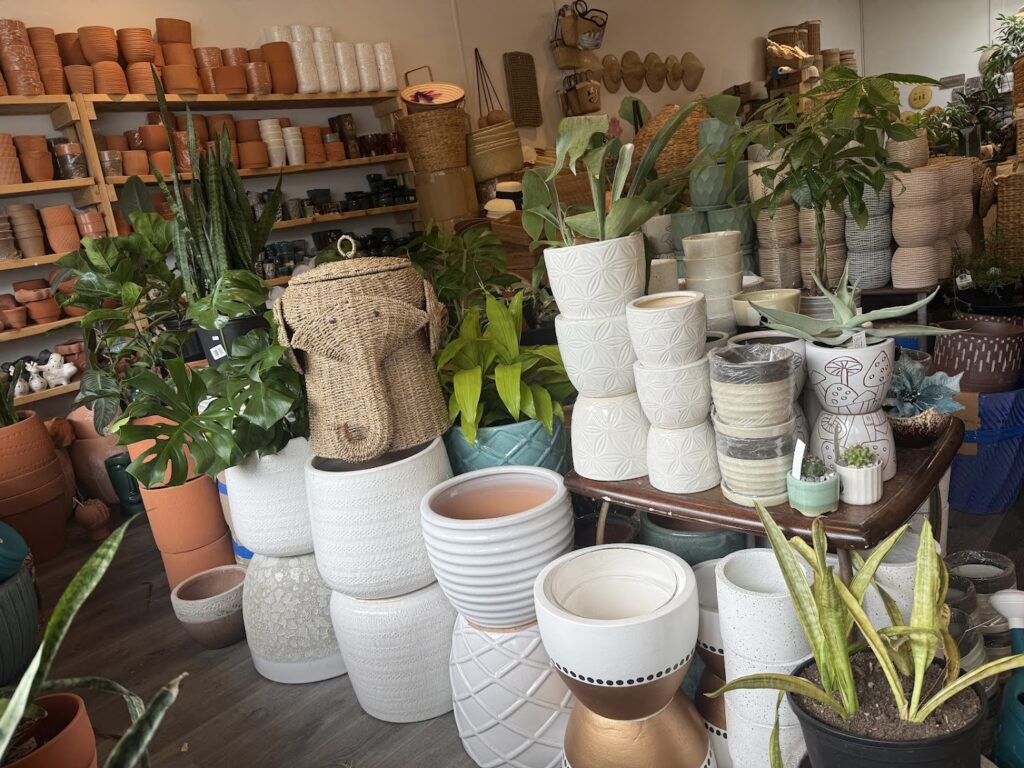 Discover Vancouver's cutest travel-proof greenery at DH Garden Centre.