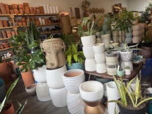Discover Vancouver's cutest travel-proof greenery at DH Garden Centre.