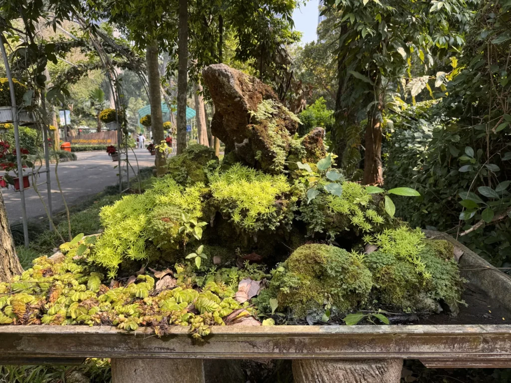 Miniature rock and moss bonsai landscape in a shallow tray at Thảo Cầm Viên