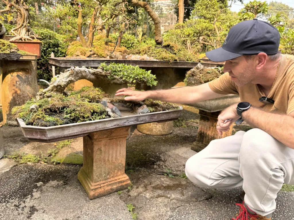 Darrell from DH Garden Centre admiring a bonsai at Thảo Cầm Viên in Saigon