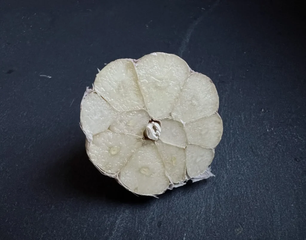 Hardneck garlic bulb cut in half, cloves fanned out around a small central stalk