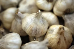 A pile of whole hardneck garlic bulbs with dry papery skins stacked close together