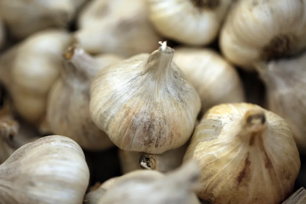 A pile of whole hardneck garlic bulbs with dry papery skins stacked close together