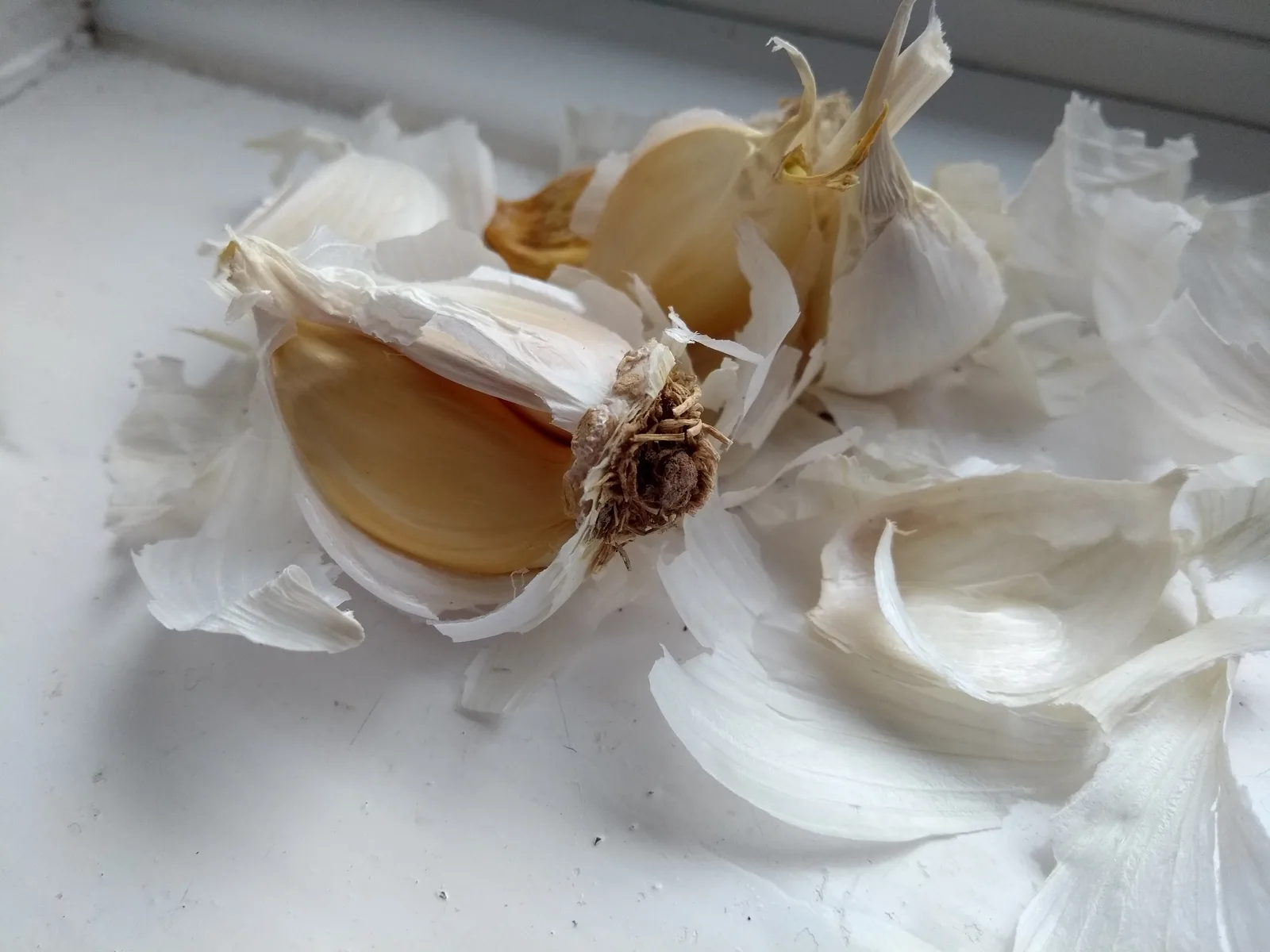 Garlic cloves broken apart from the head, papery skins intact, showing the range in garlic clove size