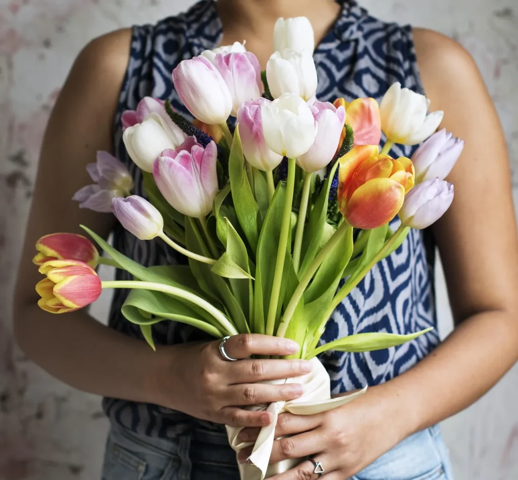 Hands holding a bunch of freshly cut pink, white, and orange tulips