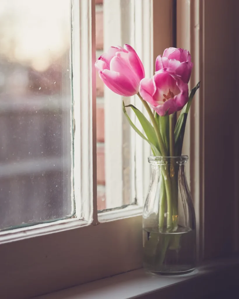 Spring bulbs in a vase, pink tulips in a small glass jar on a sunlit windowsill
