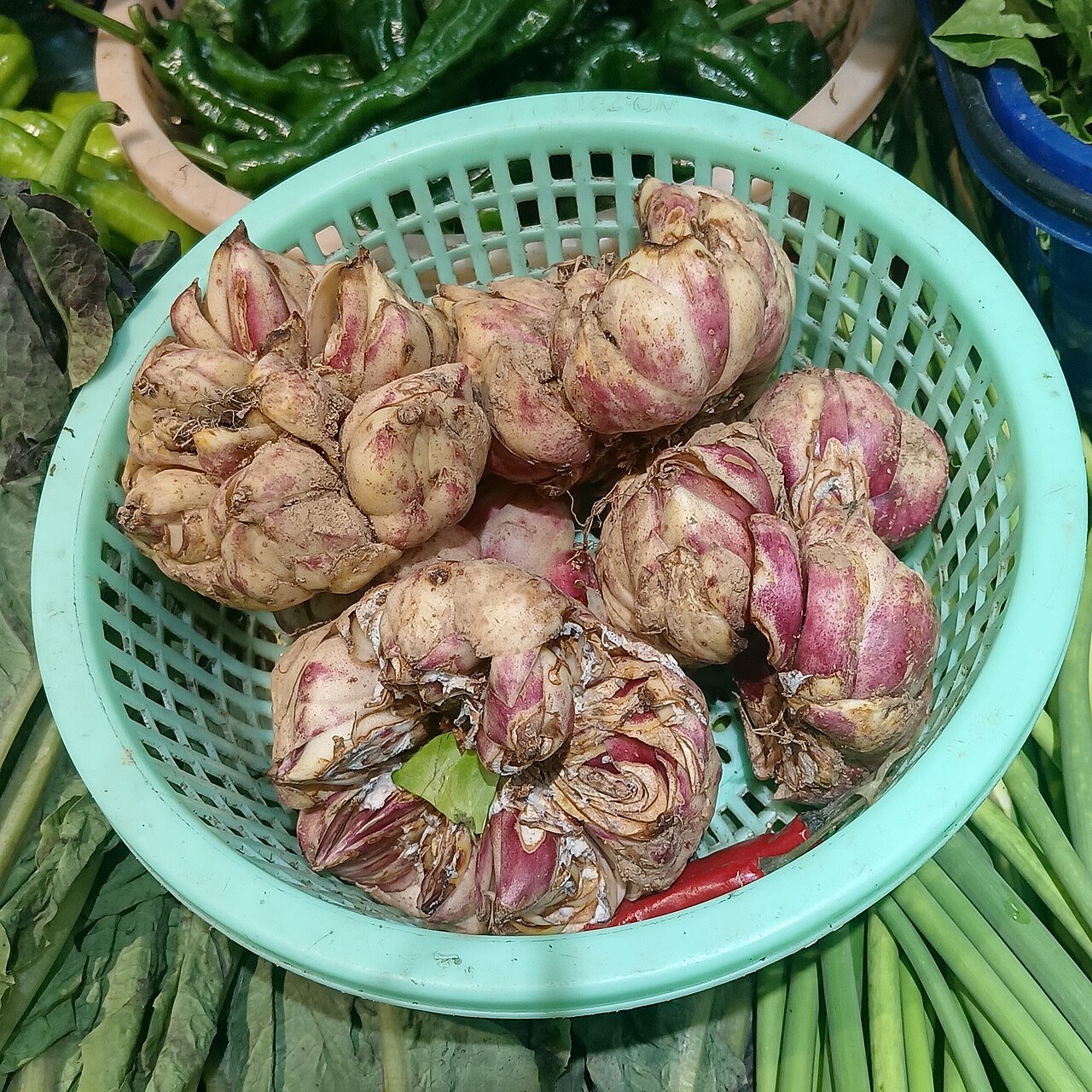 Lily bulbs are made of loose scales, so lift and divide them gently.