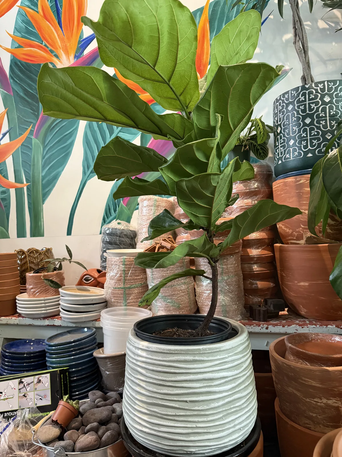 Unique plant pots on the shelves at DH Garden Centre in Kitsilano.
