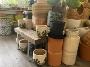 Shelves of glazed and terracotta plant pots at DH Garden Centre in Kitsilano, where a green corner at home usually starts