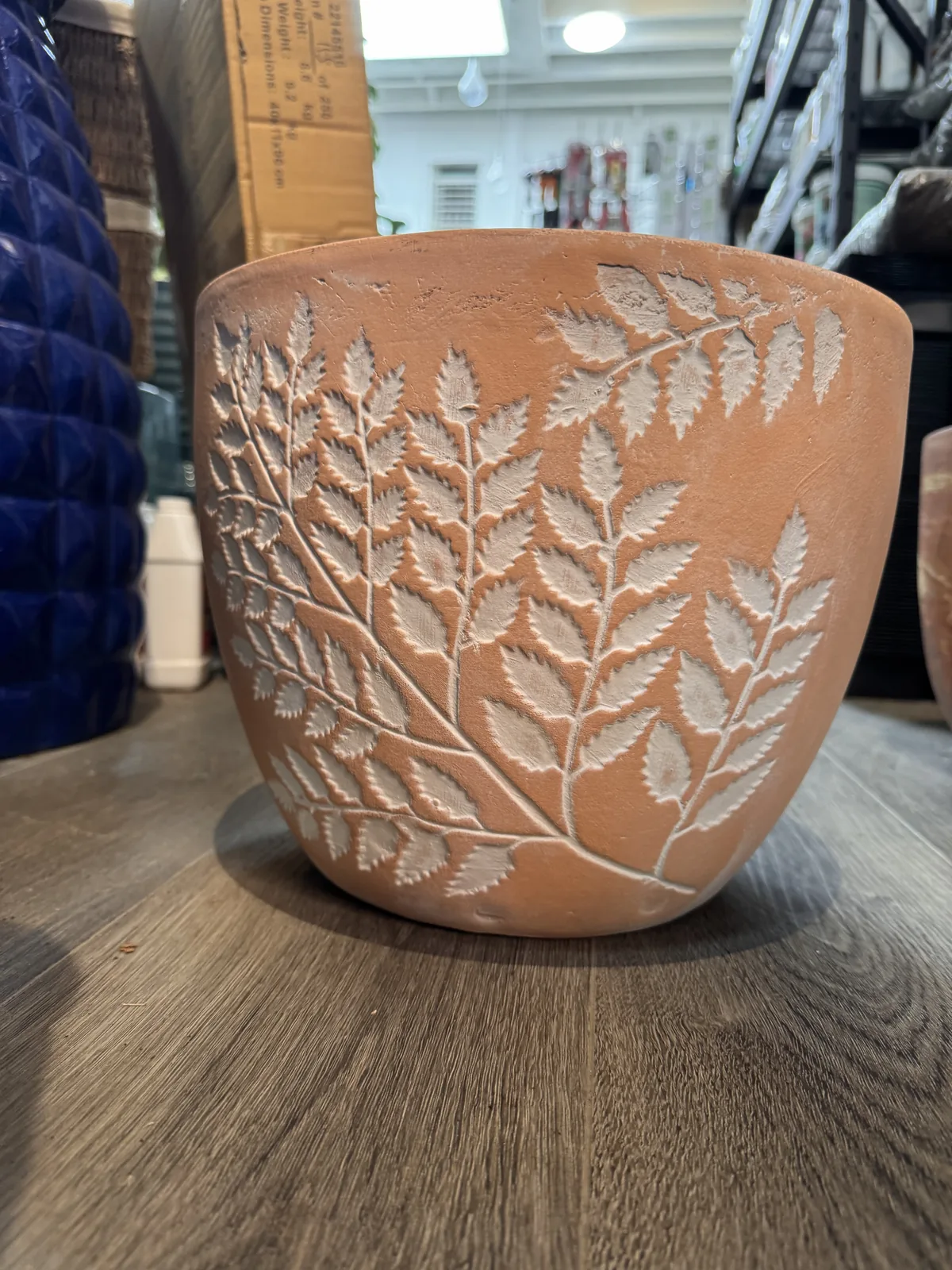 Close up of a hand carved fern pattern on a terracotta plant pot.