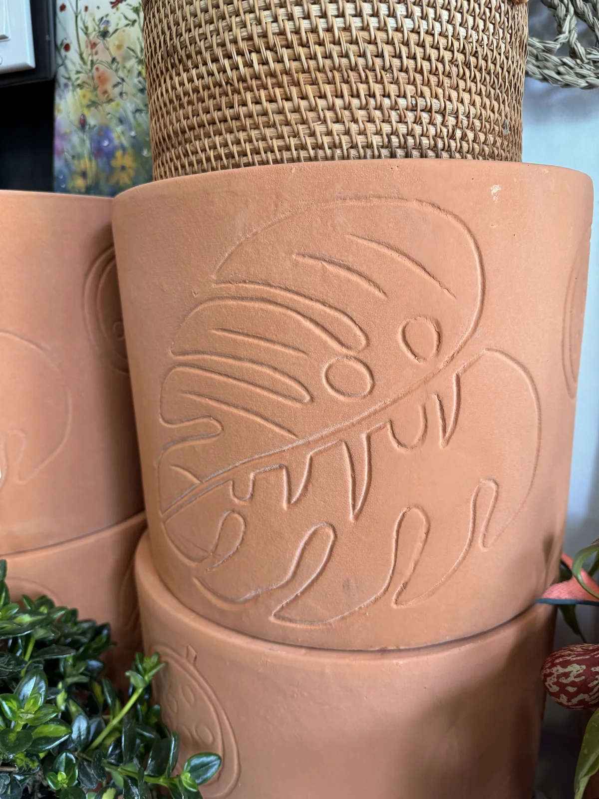 Terracotta plant pots with a matching fern pattern in a few sizes at DH Garden Centre.